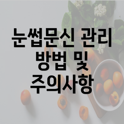 눈썹문신 관리 방법 및 주의사항