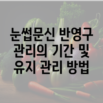 눈썹문신 반영구 관리의 기간 및 유지 관리 방법