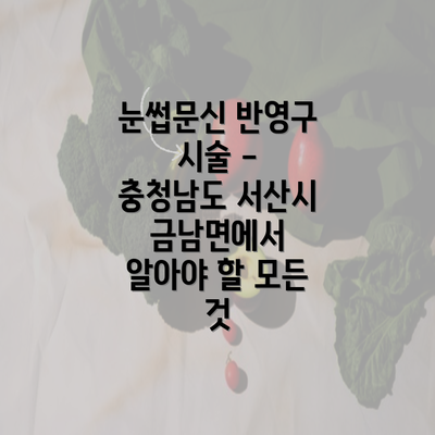 눈썹문신 반영구 시술 - 충청남도 서산시 금남면에서 알아야 할 모든 것