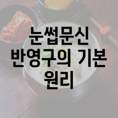 눈썹문신 반영구의 기본 원리