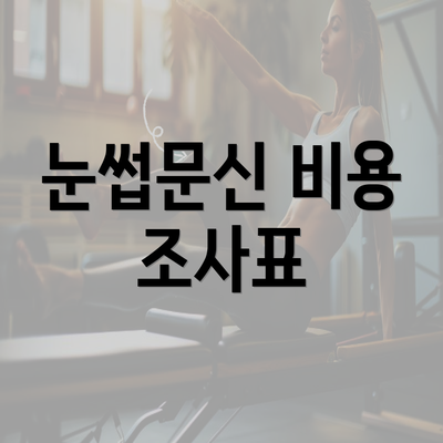 눈썹문신 비용 조사표