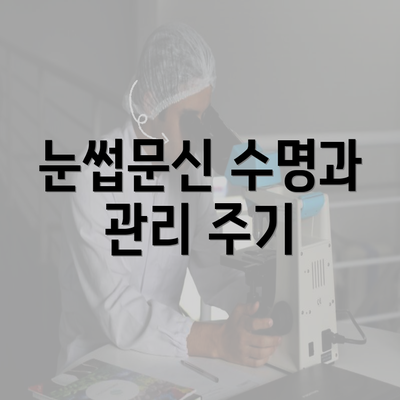 눈썹문신 수명과 관리 주기