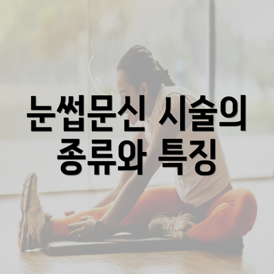 눈썹문신 시술의 종류와 특징