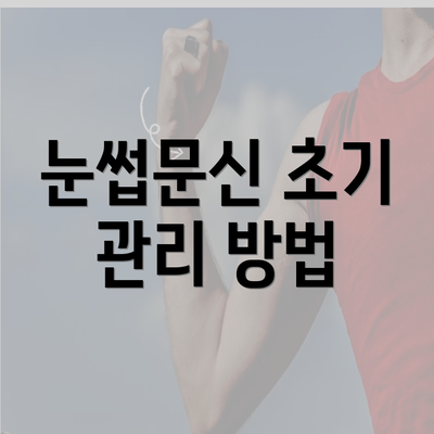 눈썹문신 초기 관리 방법