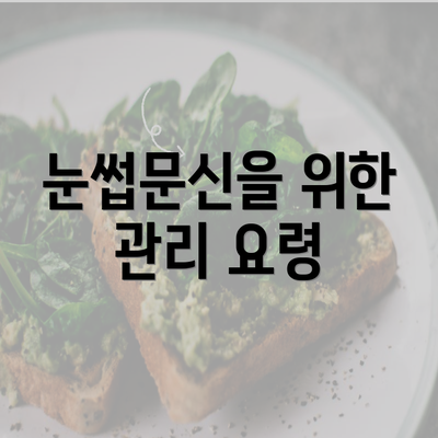 눈썹문신을 위한 관리 요령