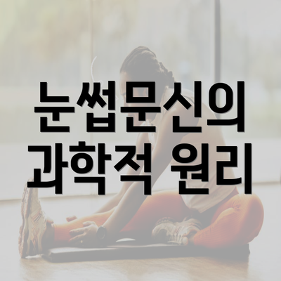 눈썹문신의 과학적 원리