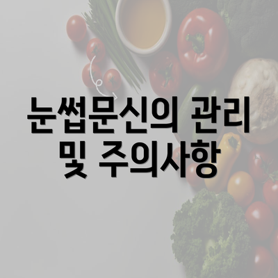 눈썹문신의 관리 및 주의사항