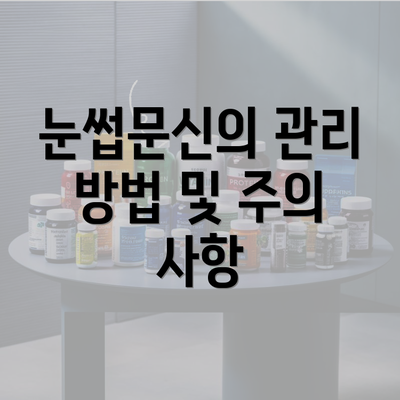 눈썹문신의 관리 방법 및 주의 사항