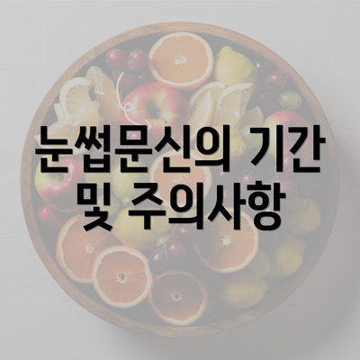 눈썹문신의 기간 및 주의사항