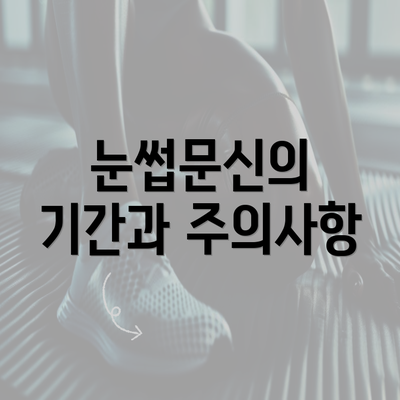 눈썹문신의 기간과 주의사항