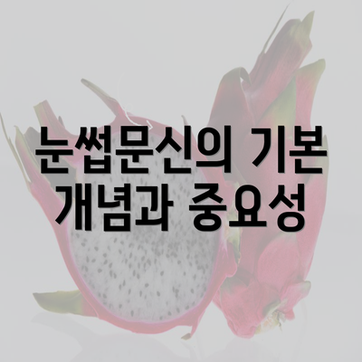 눈썹문신의 기본 개념과 중요성