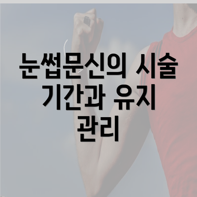 눈썹문신의 시술 기간과 유지 관리