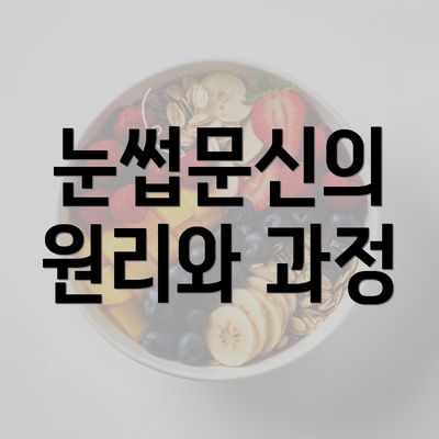 눈썹문신의 원리와 과정