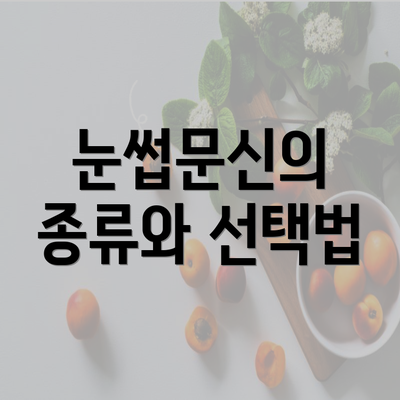 눈썹문신의 종류와 선택법