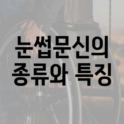 눈썹문신의 종류와 특징