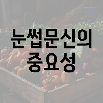 눈썹문신의 중요성