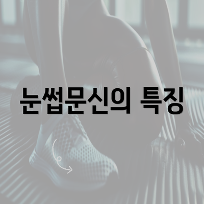 눈썹문신의 특징