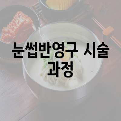 눈썹반영구 시술 과정