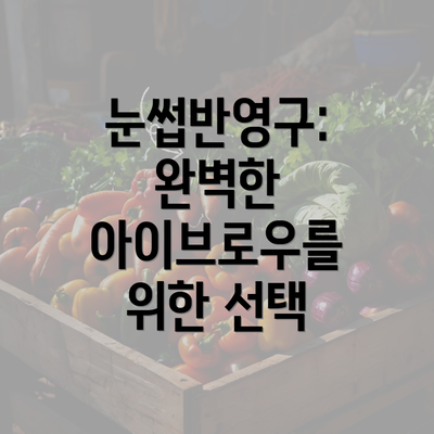 눈썹반영구: 완벽한 아이브로우를 위한 선택