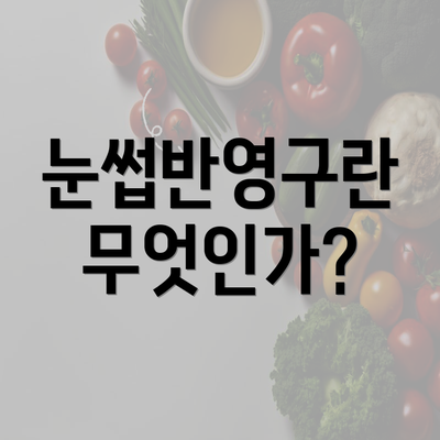 눈썹반영구란 무엇인가?