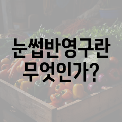 눈썹반영구란 무엇인가?