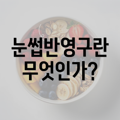 눈썹반영구란 무엇인가?