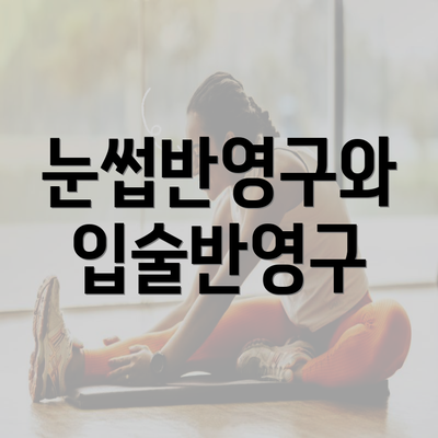 눈썹반영구와 입술반영구