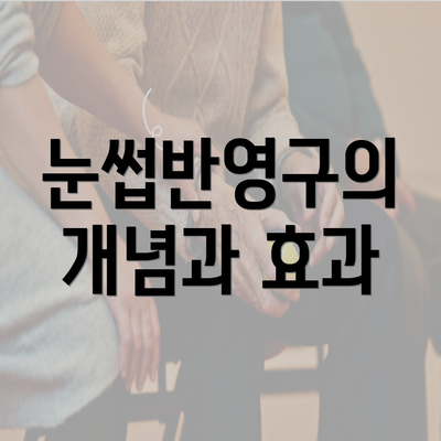 눈썹반영구의 개념과 효과