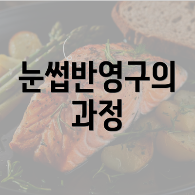 눈썹반영구의 과정