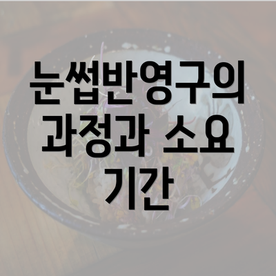 눈썹반영구의 과정과 소요 기간