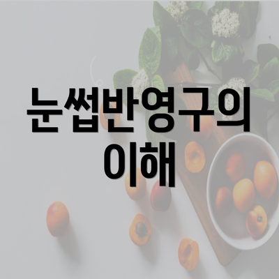 눈썹반영구의 이해