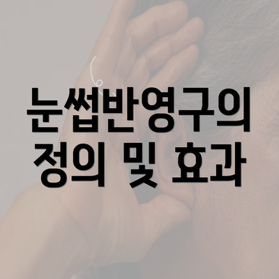 눈썹반영구의 정의 및 효과