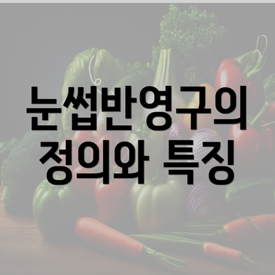 눈썹반영구의 정의와 특징