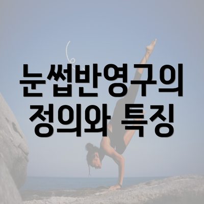 눈썹반영구의 정의와 특징