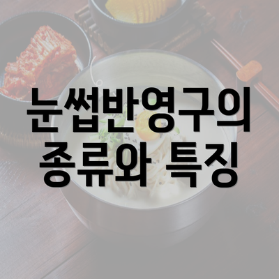 눈썹반영구의 종류와 특징