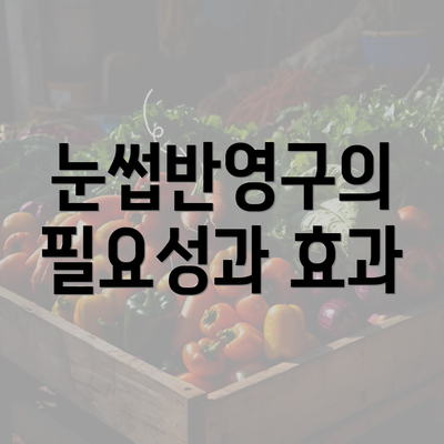 눈썹반영구의 필요성과 효과