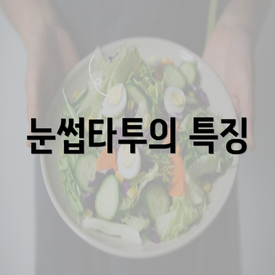 눈썹타투의 특징