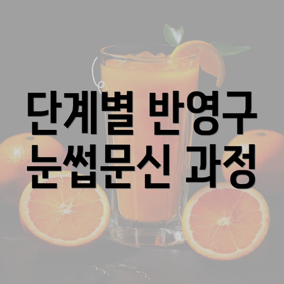 단계별 반영구 눈썹문신 과정