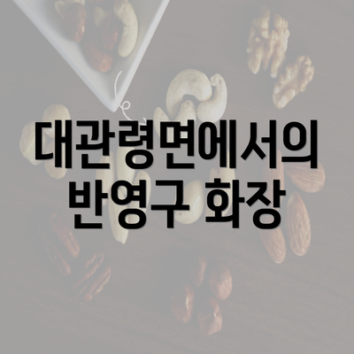 대관령면에서의 반영구 화장