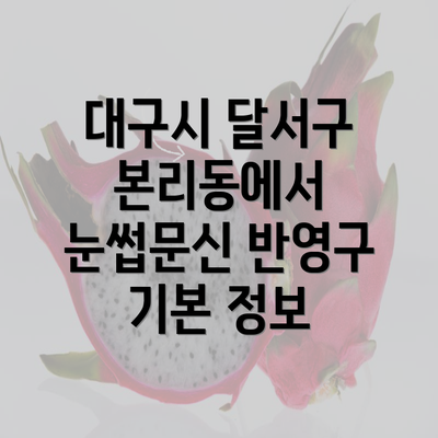 대구시 달서구 본리동에서 눈썹문신 반영구 기본 정보