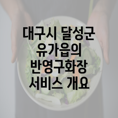 대구시 달성군 유가읍의 반영구화장 서비스 개요