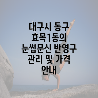 대구시 동구 효목1동의 눈썹문신 반영구 관리 및 가격 안내