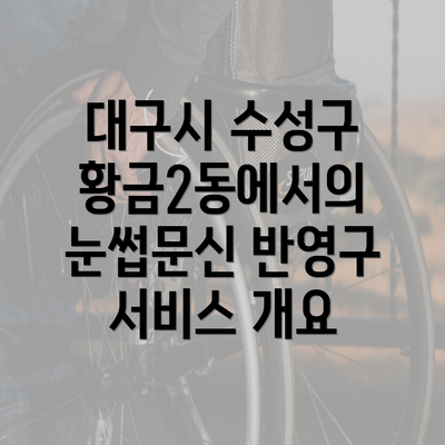 대구시 수성구 황금2동에서의 눈썹문신 반영구 서비스 개요