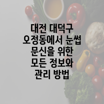 대전 대덕구 오정동에서 눈썹 문신을 위한 모든 정보와 관리 방법