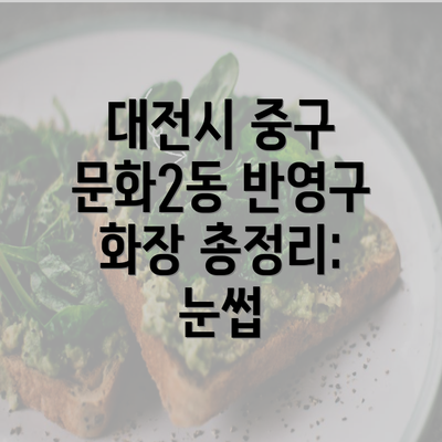 대전시 중구 문화2동 반영구 화장 총정리: 눈썹