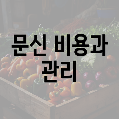 문신 비용과 관리