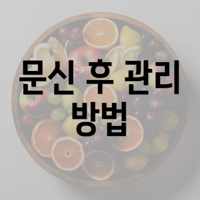 문신 후 관리 방법