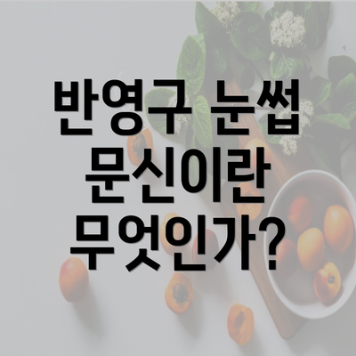 반영구 눈썹 문신이란 무엇인가?