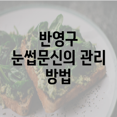 반영구 눈썹문신의 관리 방법