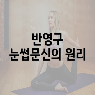 반영구 눈썹문신의 원리